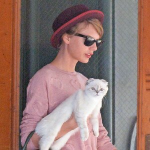 Taylor Swift Explains Why She Carries Cat Olivia Benson Around New York ...