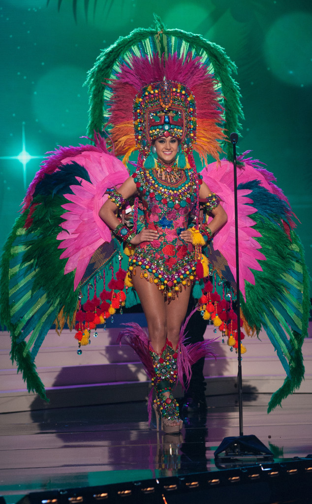 Miss Dominican Republic from 2014 Miss Universe National Costume Show