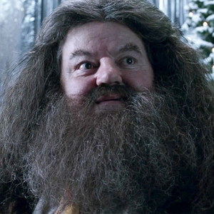 Hagrid Hospitalized! Harry Potter Actor Robbie Coltrane Taken to