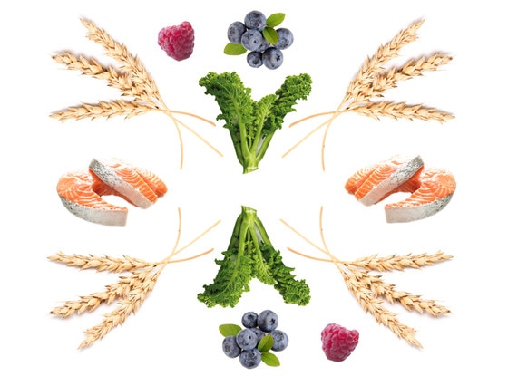 Nordic Diet Nordic Diet