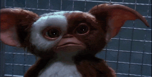 rs_500x253-151127081423-500-gizmo-gremlins-112715.gif