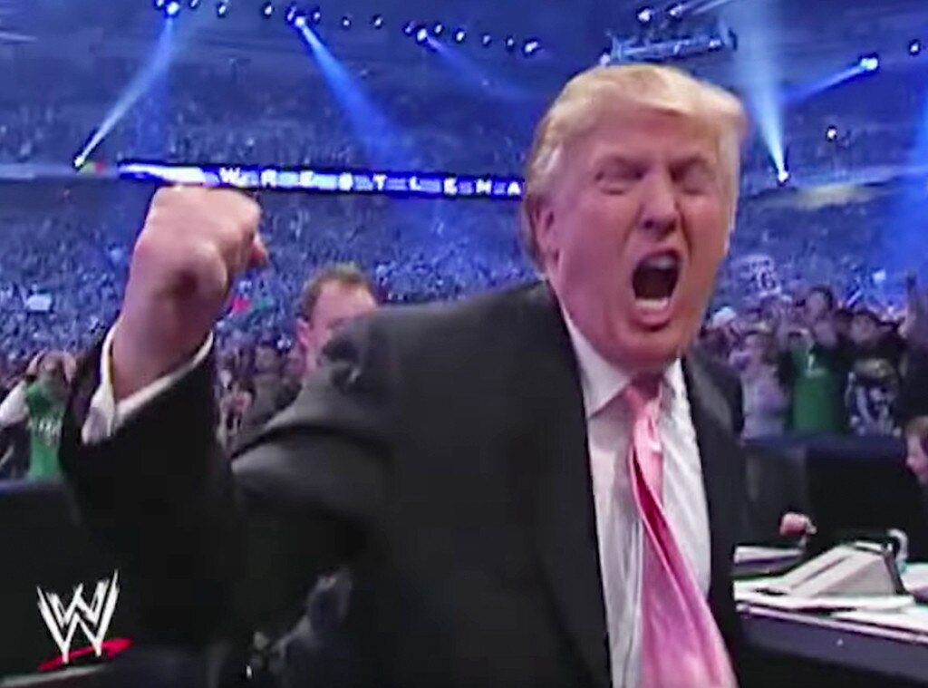 Wrestlemania 23 From Donald Trump Cameos In Movies And On TV | E! News ...