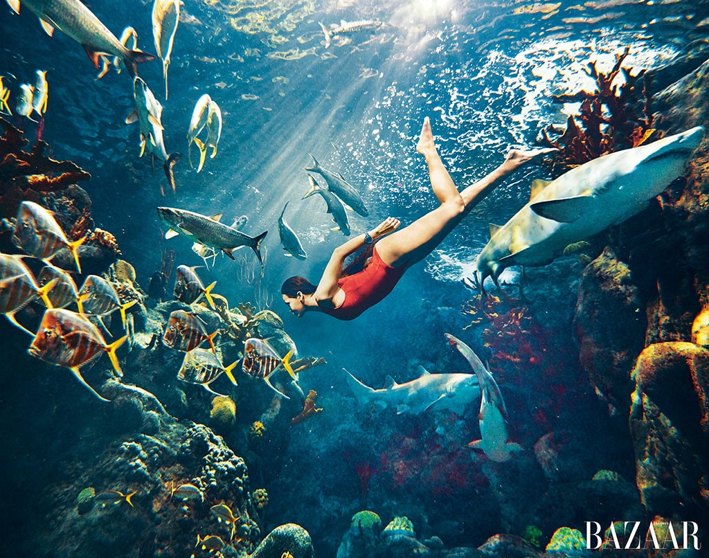 Rihanna Swimming with Sharks Rihanna Swimming with Sharks