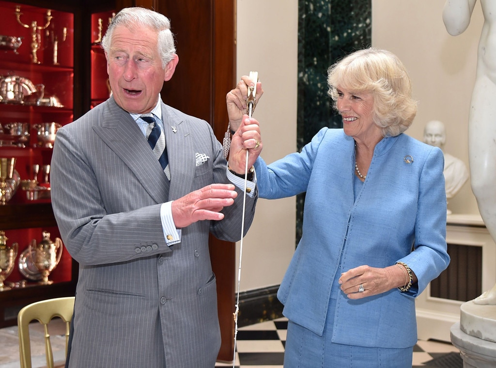 Prince Charles, Camilla Duchess