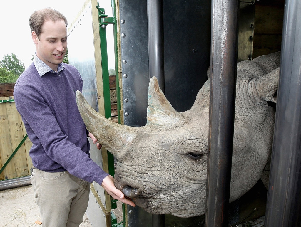 Prince William, The Duke of Cambridge
