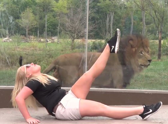 Columbus Zoo Wildest Dreams Columbus Zoo Wildest Dreams