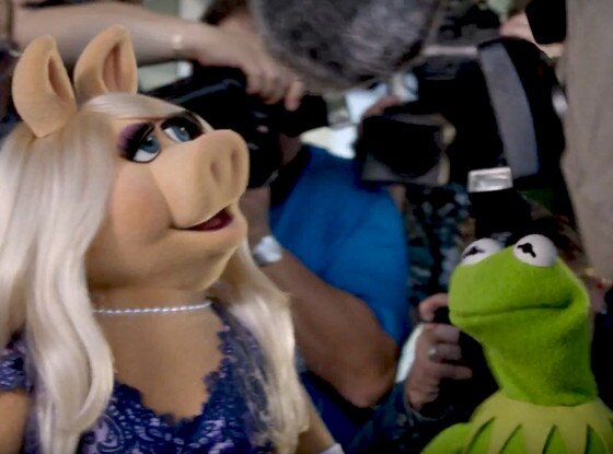 Muppets, Miss Piggy, Kermit Muppets, Miss Piggy, Kermit