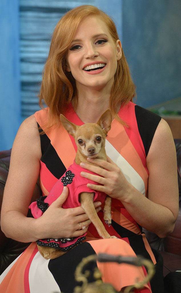 Jessica Chastain And Honey Berry From The Big Picture Todays Hot Photos