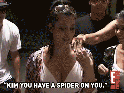 kim kardashian birthday gif 35 gifs that prove kim kardashian is our spirit animal on kim kardashian birthday gif 35 gifs that prove kim kardashian is our spirit animal on