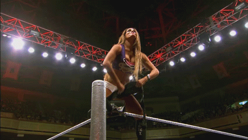Total Divas 501 Total Divas 501