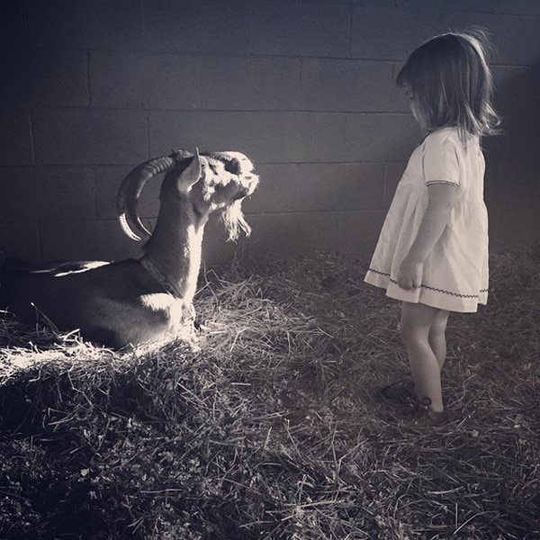 Channing Tatum, Everly, Goat, Instagram Channing Tatum, Everly, Goat, Instagram