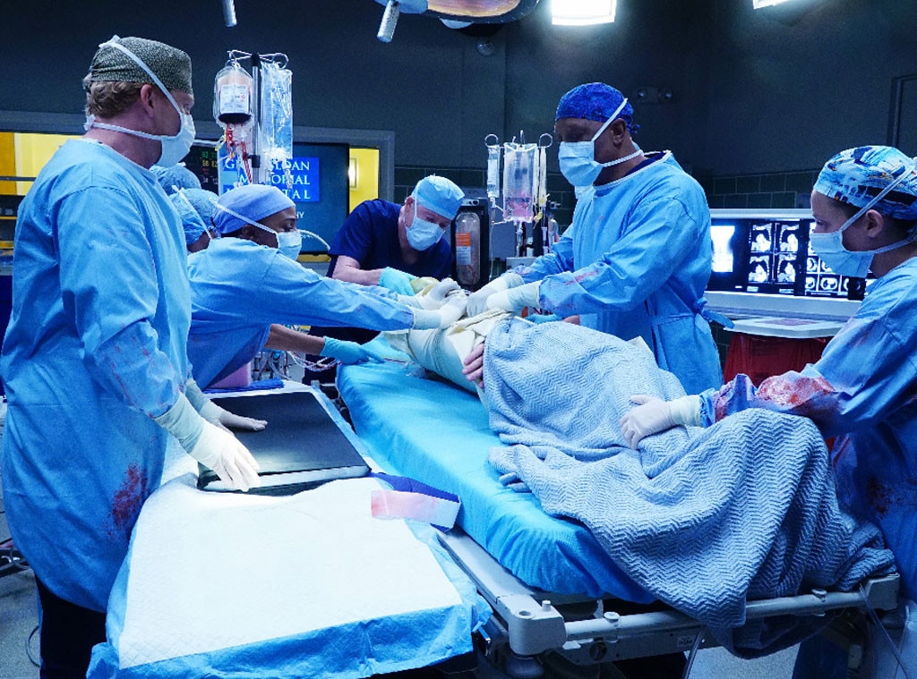 Grey's Anatomy, Season 13 Grey's Anatomy, Season 13