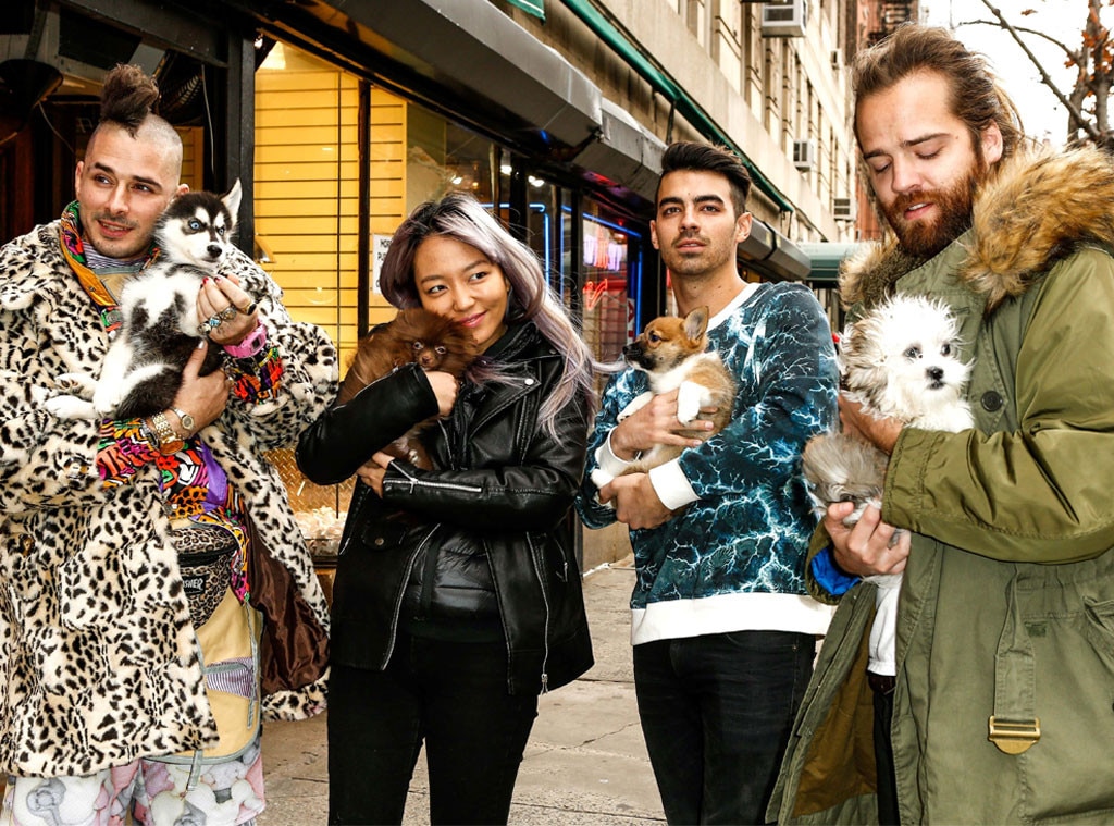 DNCE, Puppies