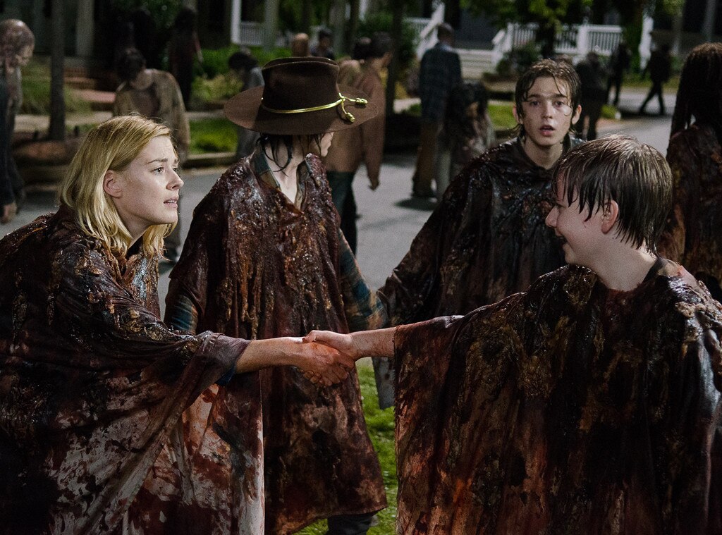 The Walking Dead The Walking Dead