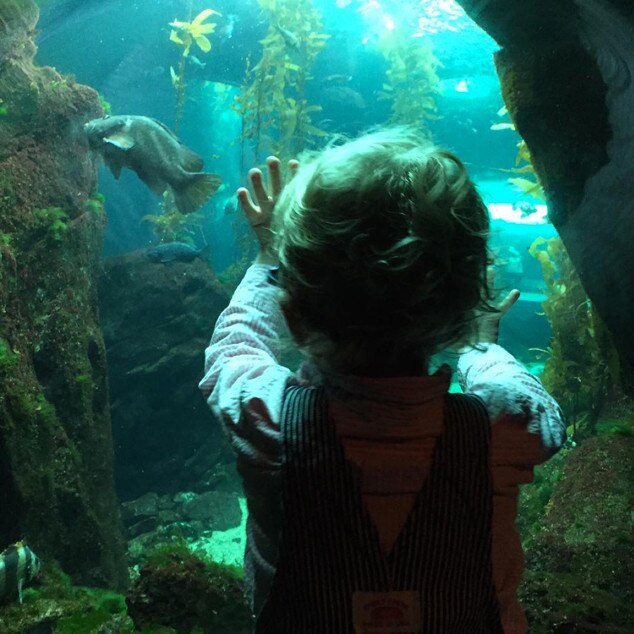 Chris Pratt, Anna Faris, Cutest Family Moments