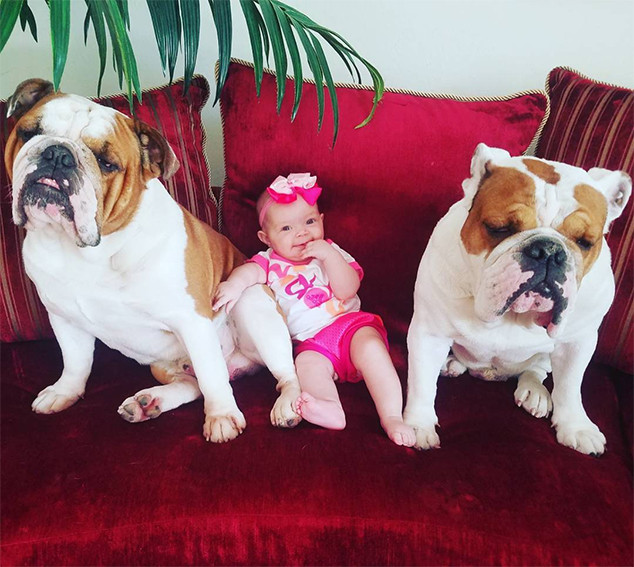 Dog Sitters From Ice T Amp Coco S Cutest Pictures Of Baby