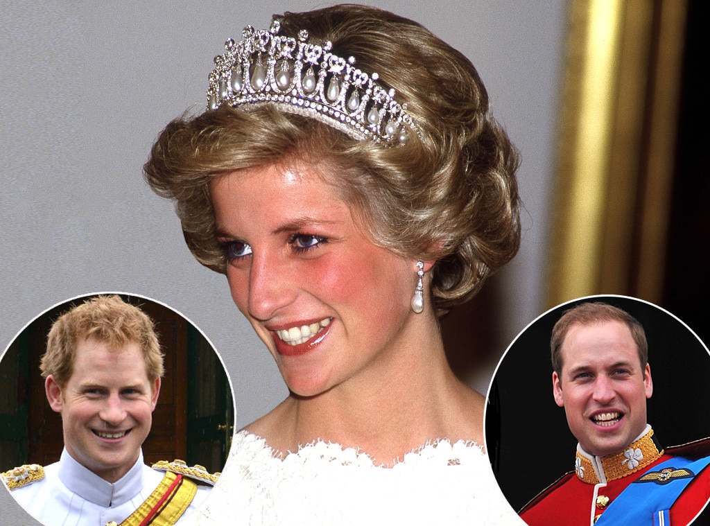 Prince William And Harry Talk New Diana Documentary We Feel We Owe It To Her E News 