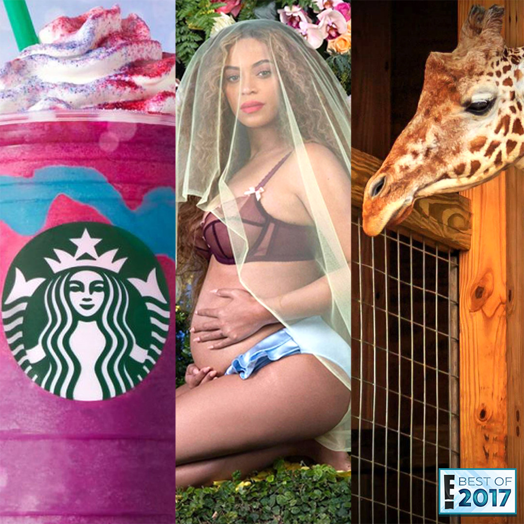 The 7 Most Viral Moments of 2017: April the Giraffe, Beyoncé's Pregnancy Announcement and More