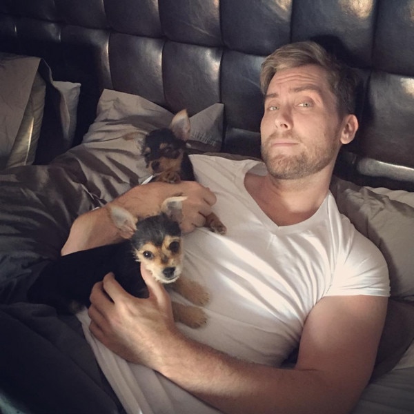 Lance Bass, Instagram