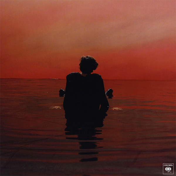 Image result for sign of the times harry
