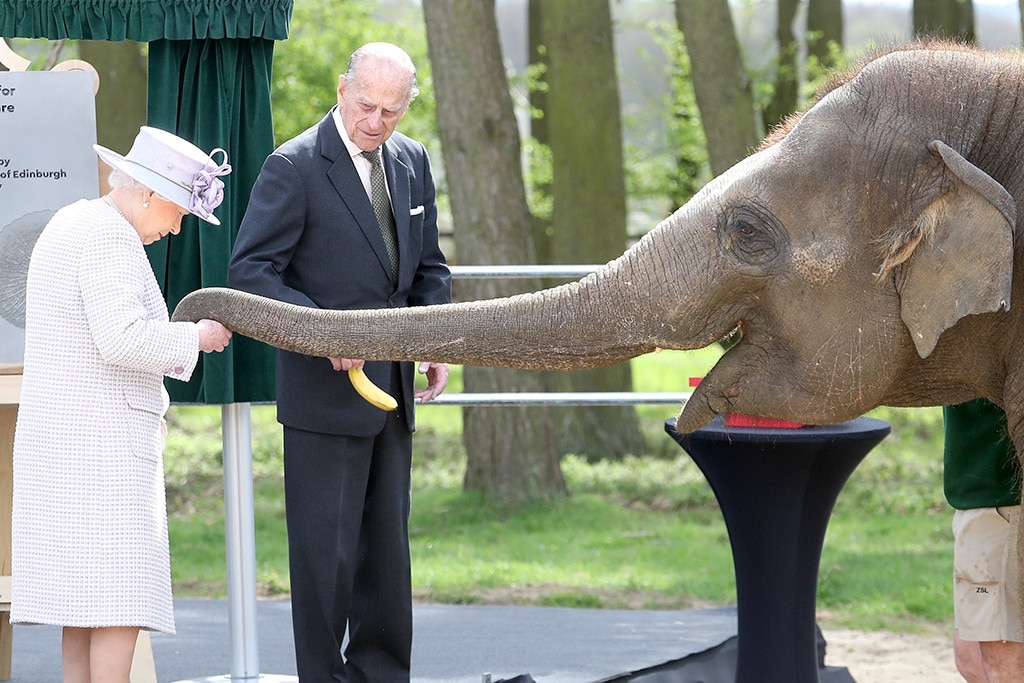 These photos are bananas! Queen Elizabeth, Prince Philip feed elephants at zoo