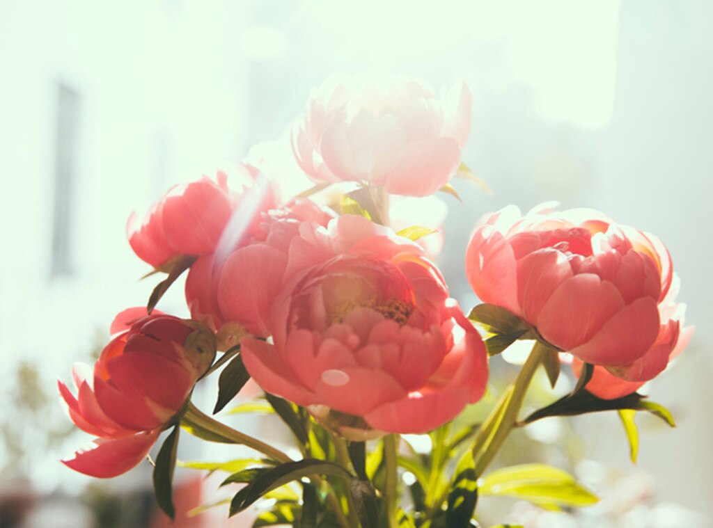 Peonies, Christina El Moussa, Must Have Items