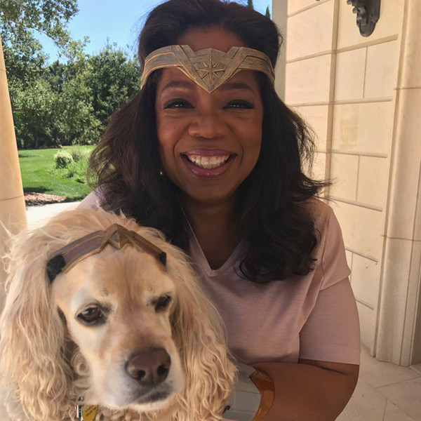 You Won't Believe How Oprah Winfrey Potty Trains Her Dogs