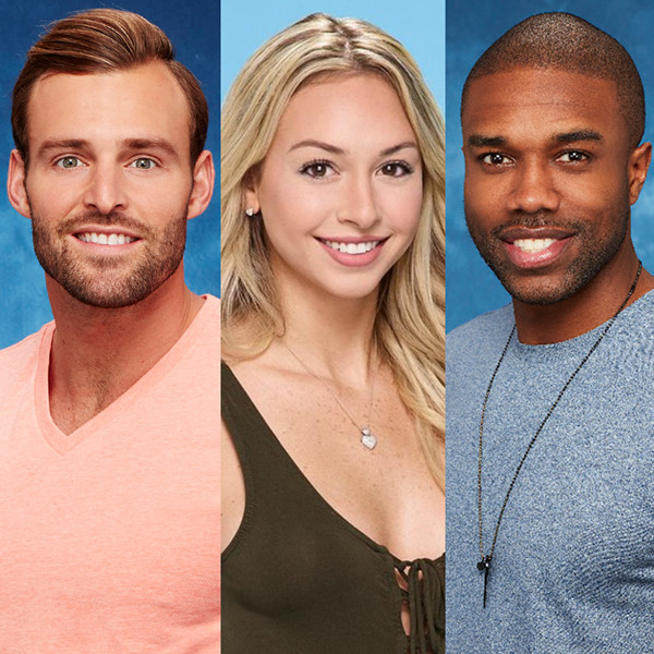 Bachelor in Paradise Production Suspended Amid ''Misconduct'' Allegations