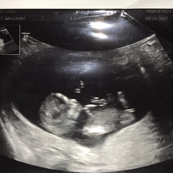 Robin Thicke & Girlfriend April Love Geary Expecting a Baby Robin Thicke & Girlfriend April Love Geary Expecting a Baby