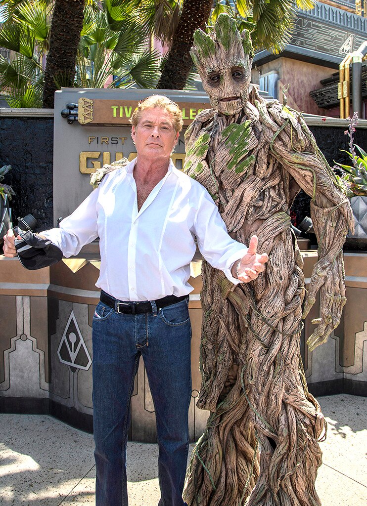 David Hasselhoff, Disney