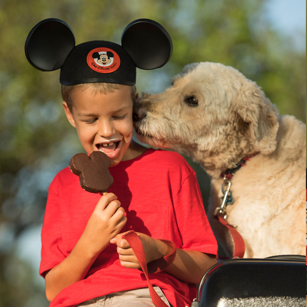 Disney World Is Opening Its Hotel Doors to Dogs