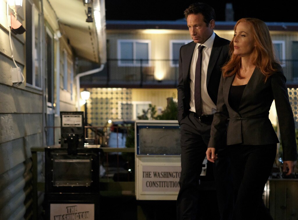 The X-Files, Gillian Anderson, David Duchovny