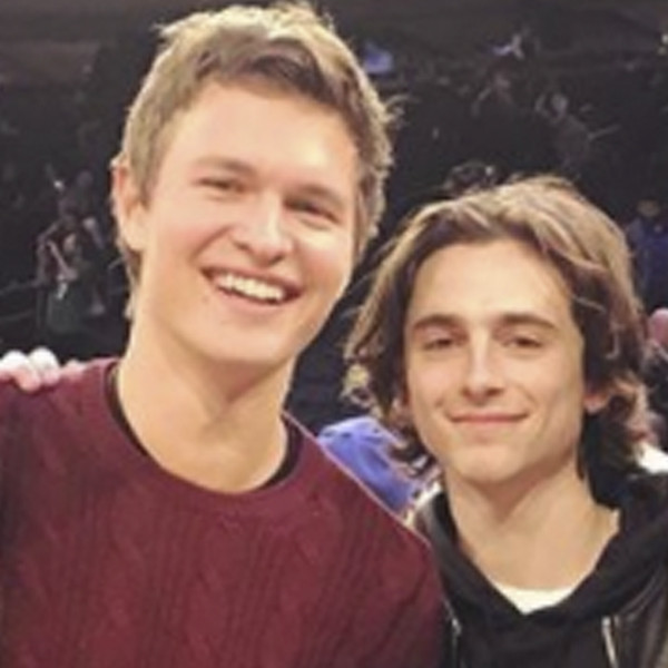 Timothée Chalamet, Ansel Elgort And Other Stars Who Were High School Classmates