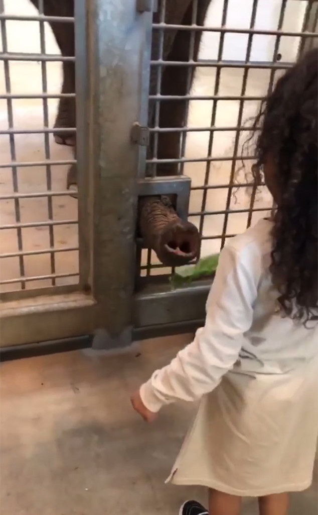North West, Zoo