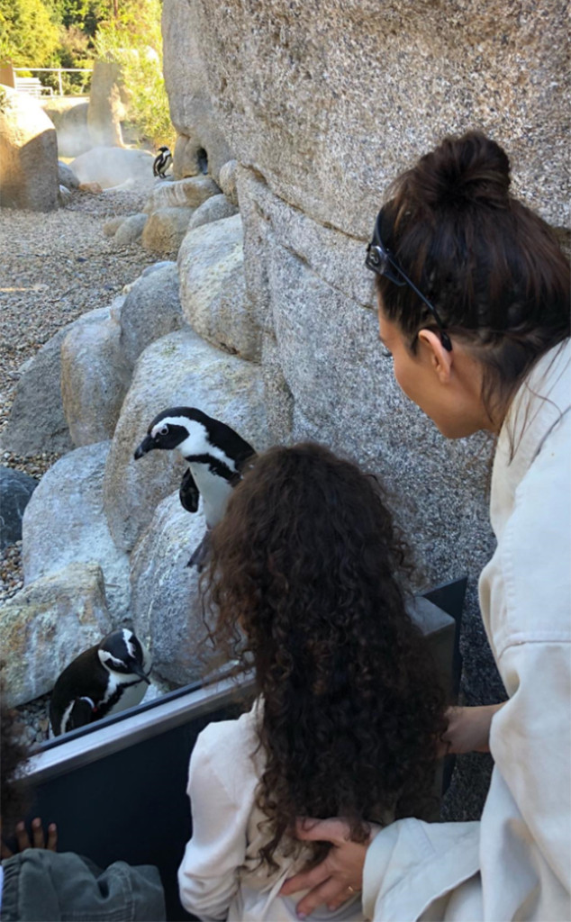 Kim Kardashian, North West, Zoo