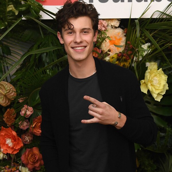 Shawn Mendes Has Nothing But Love for His Fans Ahead of the PCAs