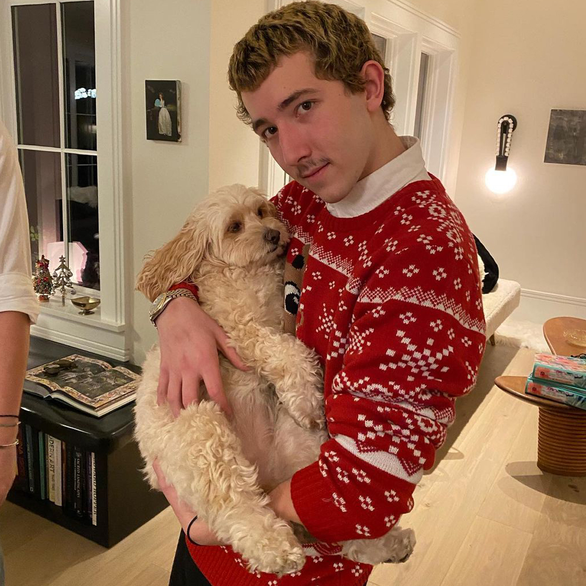 Frankie Jonas, Tiktok Stars