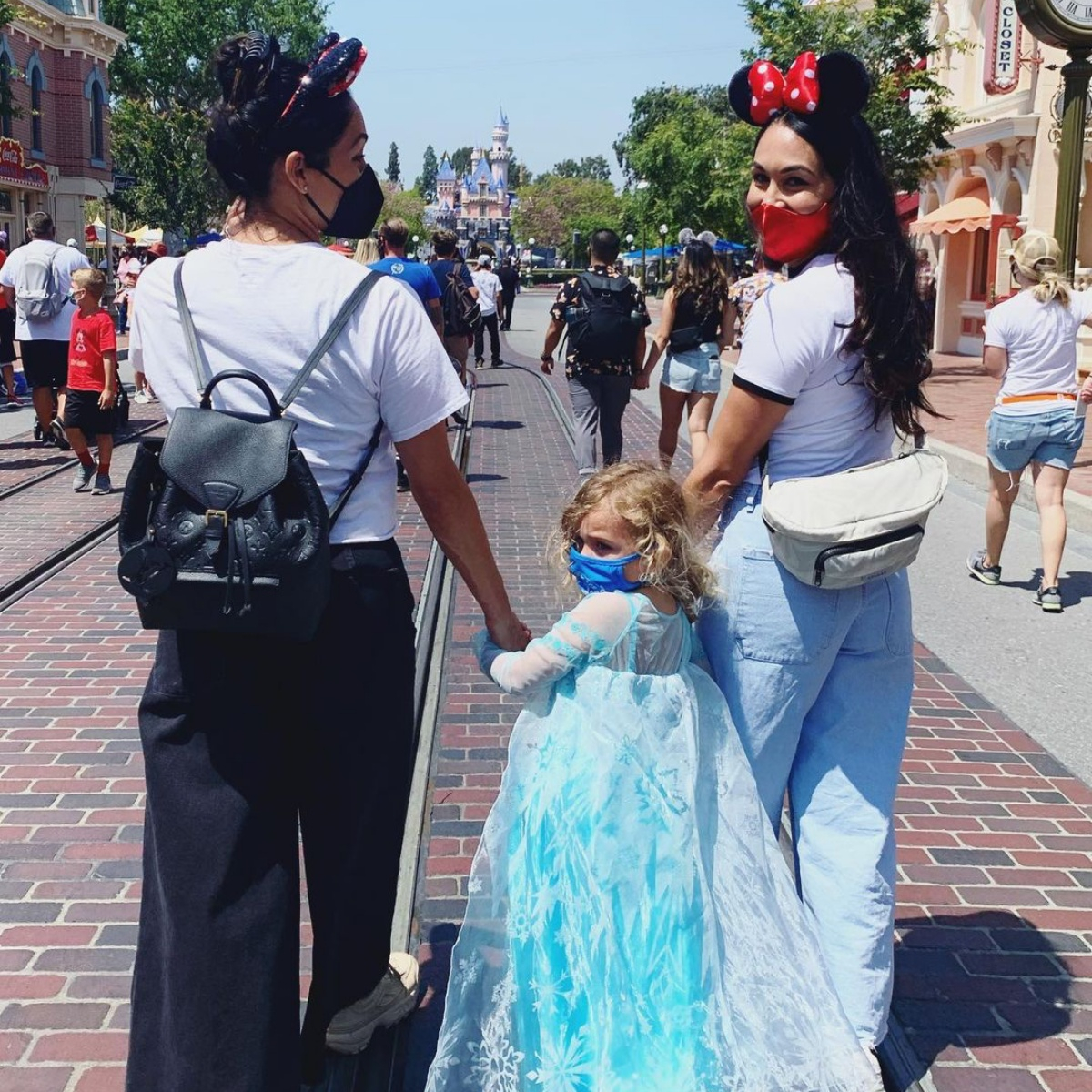 Brie Bella, Nikki Bella