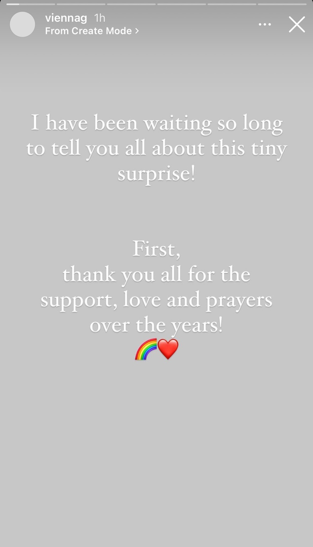 Vienna Girardi, Instagram