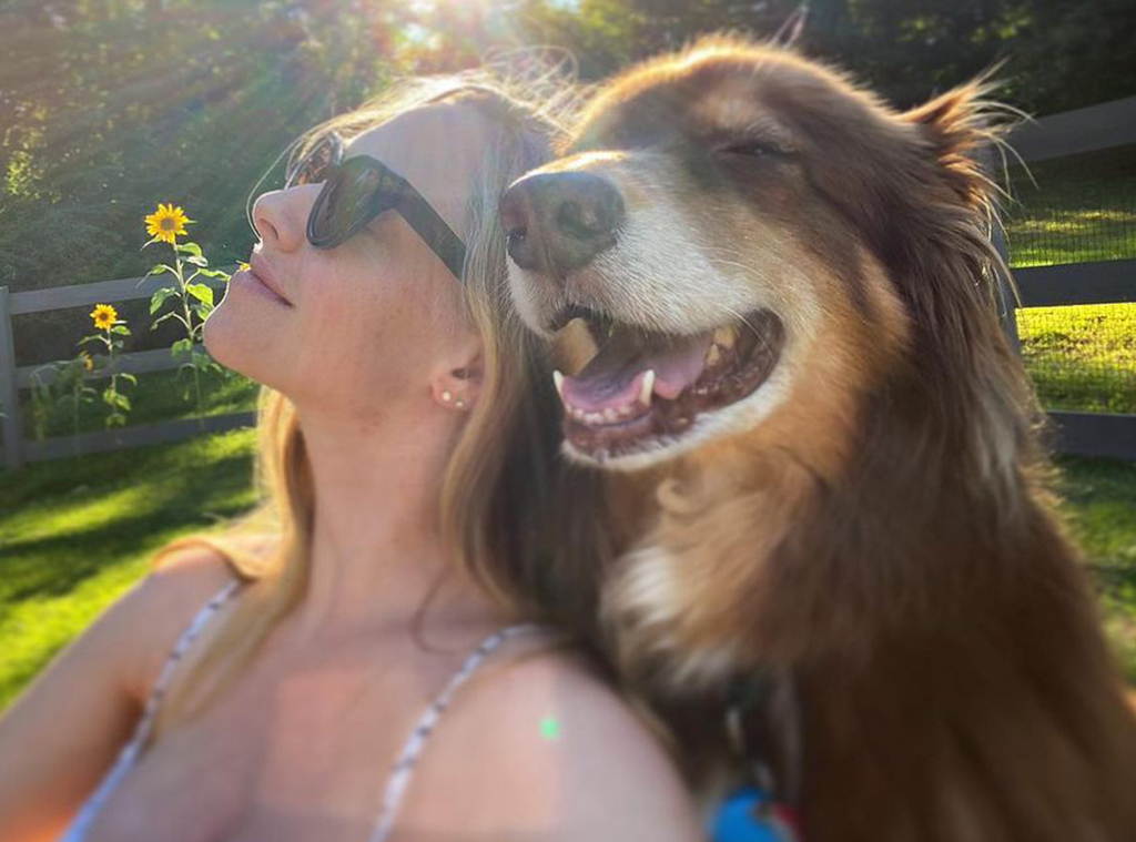 Amanda Seyfried and dog Finn, Instagram