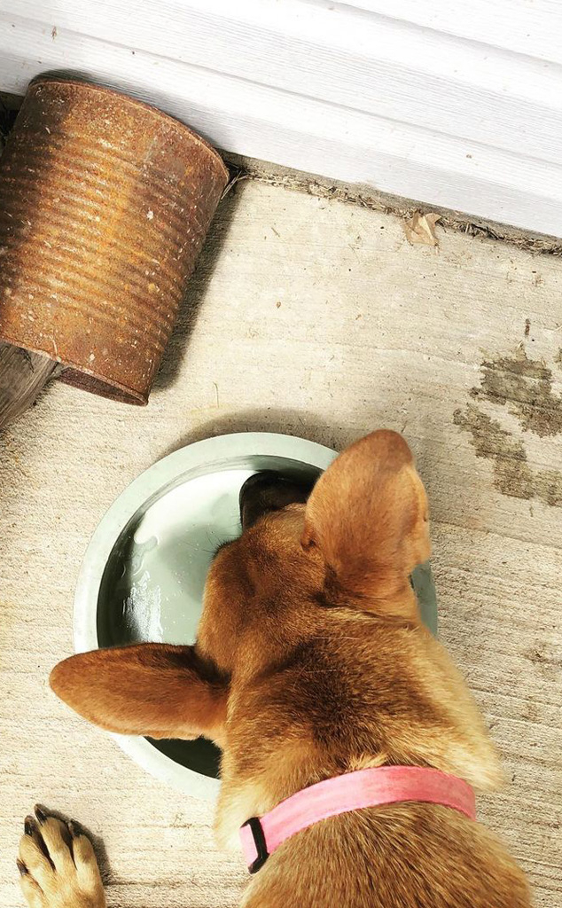 Jill Duggar, Instagram