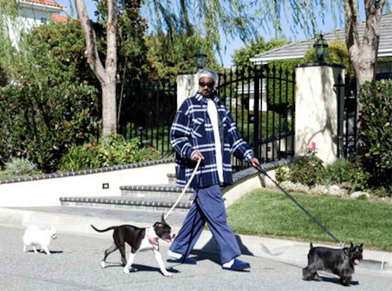 Snoop Dogg and his dogs