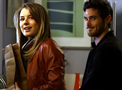 Dave Annable, Emily VanCamp, Brothers and Sisters