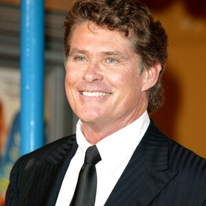 Next photo of David Hasselhoff