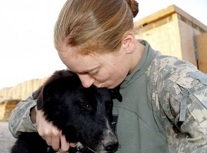 Soldier Gwen, Ratchet the dog