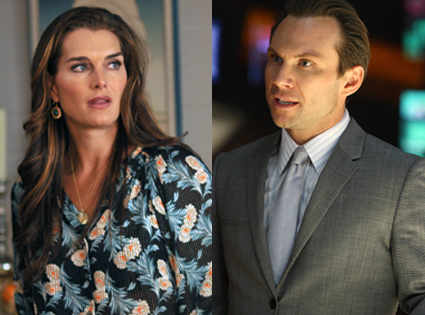 Christian Slater, My Own Worst Enemy, Brooke Shields, Lipstick Jungle