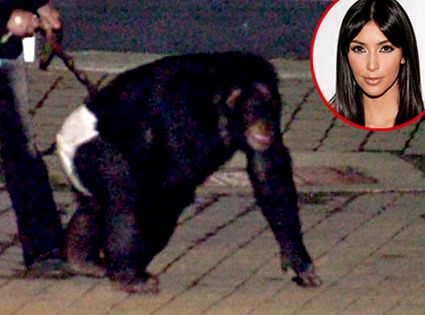 Killer Chimp, Kim Kardashian