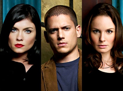 Jodi Lyn O'Keefe, Wentworth Miller, Sarah Wayne Callies