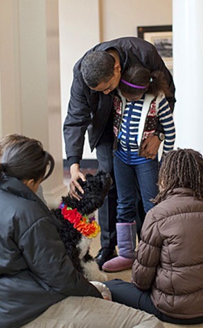 Barack Obama, Dog