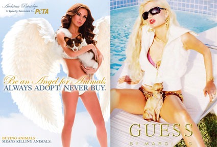 Paris Hilton, Guess Ad, Audrina Patridge, Peta Ad
